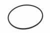 MR Gardener (Güde) O-RING GROß