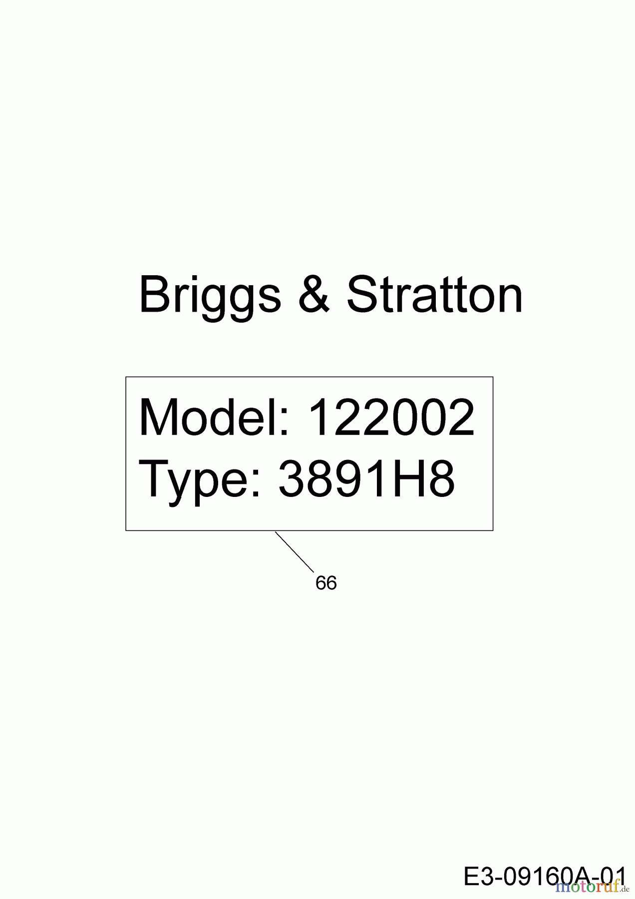  MTD Tillers T/450 21AB454B678  (2019) Engine Briggs & Stratton