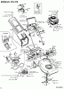Lawnflite 478 SP 12A-378C611 (2002) Listas de piezas de repuesto y dibujos Basic machine