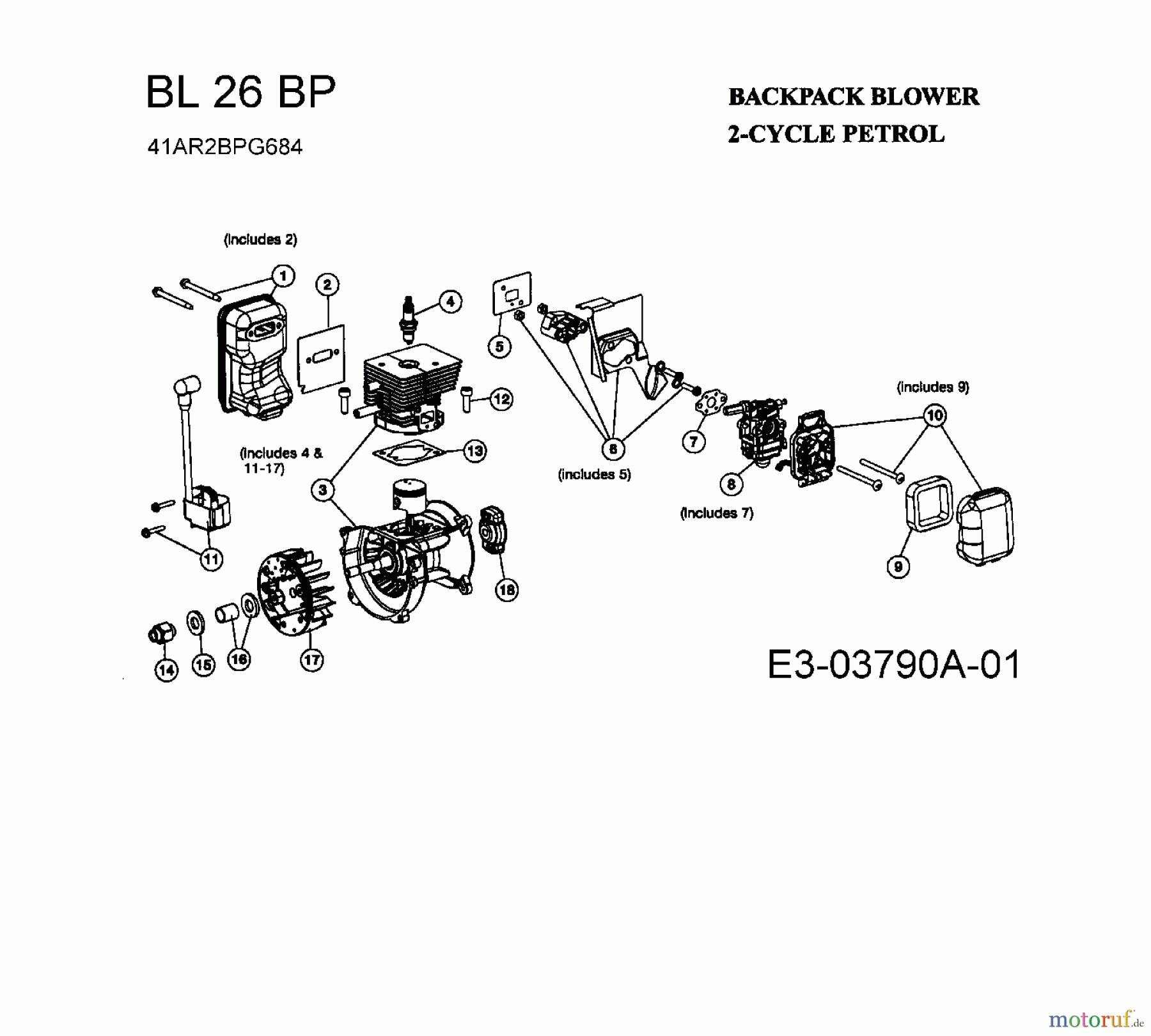  Bolens Leaf blower, Blower vac BL 26 BP 41AR2BPG684  (2008) Engine