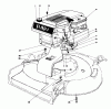 Toro 16360 - Whirlwind, 1979 (9000001-9999999) Listas de piezas de repuesto y dibujos ENGINE ASSEMBLY MODEL 16390