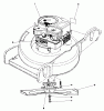 Toro 20698 - Lawnmower, 1981 (1000001-1999999) Listas de piezas de repuesto y dibujos ENGINE ASSEMBLY
