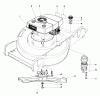 Toro 20758 - Lawnmower, 1981 (1000001-1999999) Listas de piezas de repuesto y dibujos ENGINE ASSEMBLY