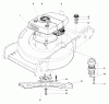 Toro 20772 - Lawnmower, 1980 (0000001-0999999) Listas de piezas de repuesto y dibujos ENGINE ASSEMBLY