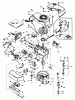 Toro 20788 - Lawnmower, 1981 (1000001-1999999) Listas de piezas de repuesto y dibujos ENGINE TECUMSEH MODEL NO. TNT 100-10066D