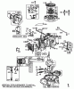 Toro 22005 - Lawnmower, 1984 (4000001-4999999) Listas de piezas de repuesto y dibujos ENGINE BRIGGS & STRATTON MODEL NO. 130902 TYPE 1200-01 #2